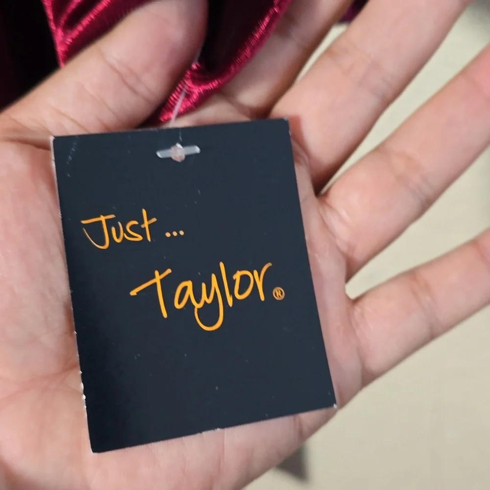 Taylor Elegant Velvet Burgundy Dress - Picture 4 of 9